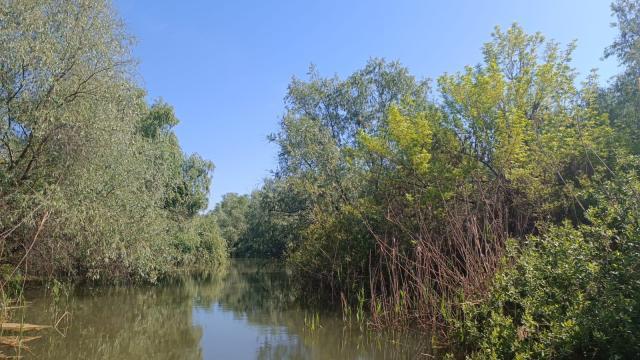 Canale în Delta Dunării