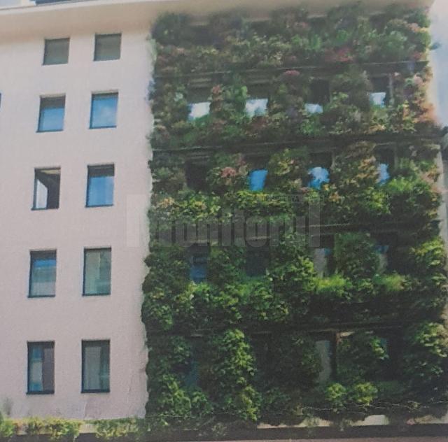 Fațade cu plante verzi pentru clădirile din centrul Sucevei, propuse în cadrul Comisiei de Estetică în Urbanism, recent întrunită