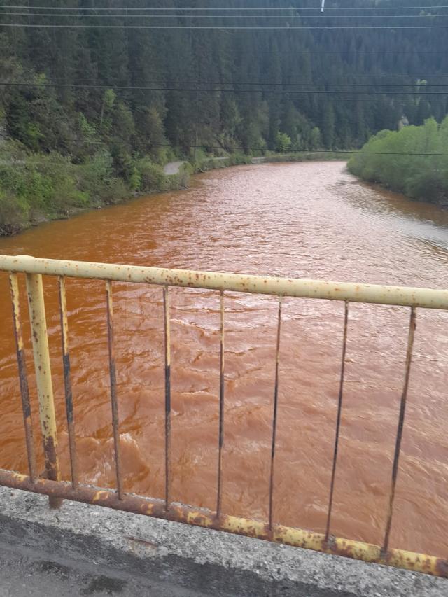 Râul Bistrița, poluat pe o lungime de 3 kilometri de la o fostă exploatare minieră