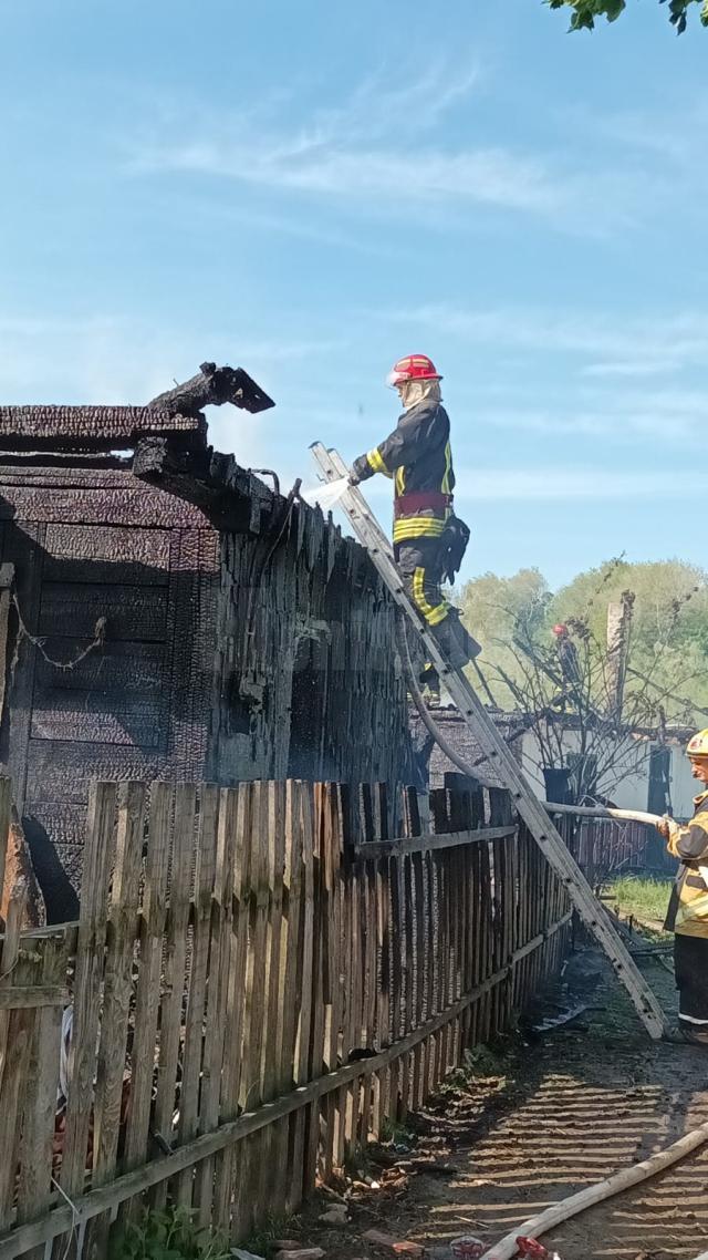 Incendiul de la Arbore