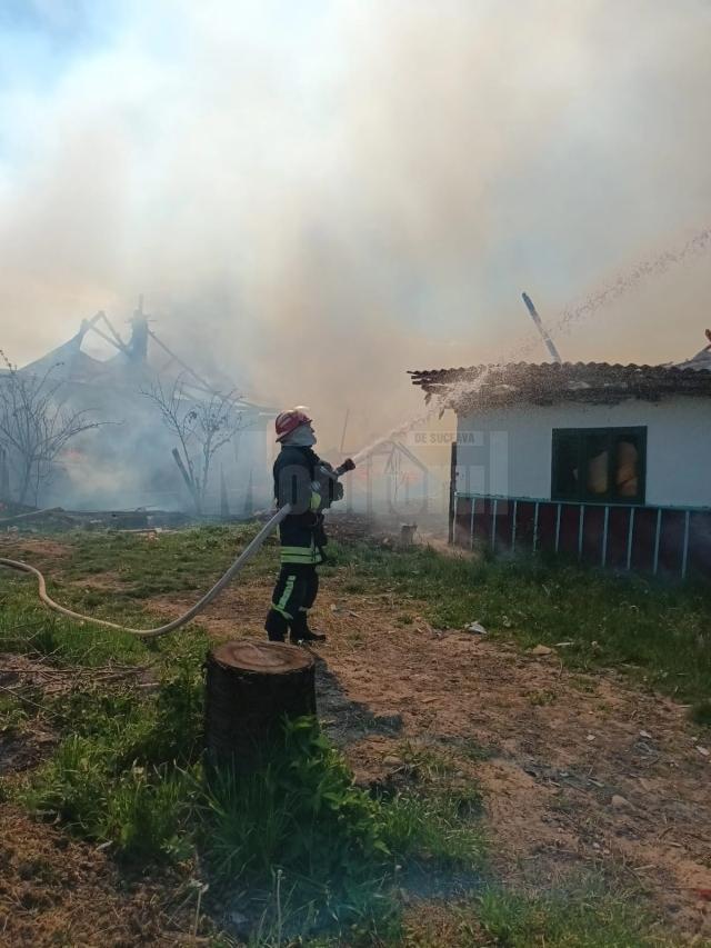 Incendiul de la Arbore