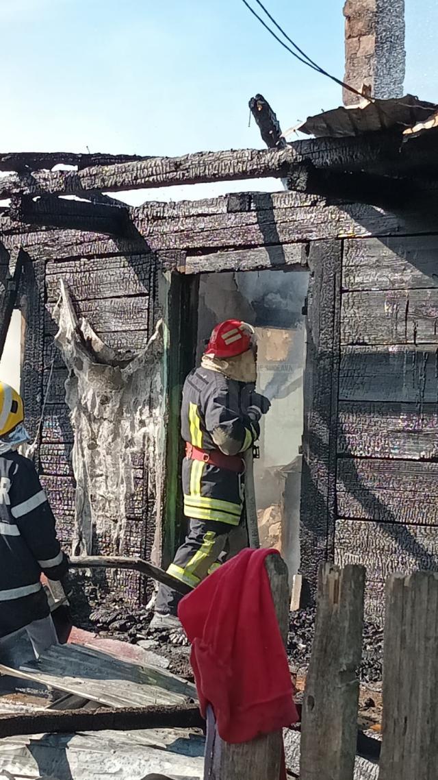 Incendiul de la Arbore