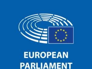 Opt membri ai Parlamentului European vin la Suceava pentru a se informa despre exploatările forestiere ilegale și gestionarea populației de urși