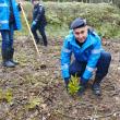 Peste 130.000 de arbori plantați la OS Marginea în campania de împăduriri de primăvară