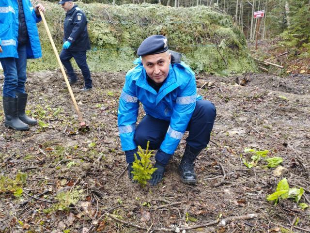 Peste 130.000 de arbori plantați la OS Marginea în campania de împăduriri de primăvară