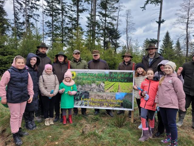 Peste 130.000 de arbori plantați la OS Marginea în campania de împăduriri de primăvară