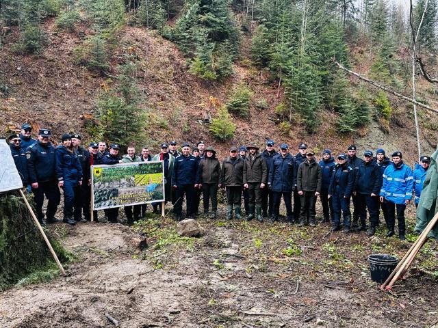 Peste 130.000 de arbori plantați la OS Marginea în campania de împăduriri de primăvară