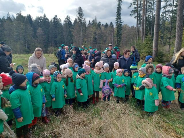 Peste 130.000 de arbori plantați la OS Marginea în campania de împăduriri de primăvară