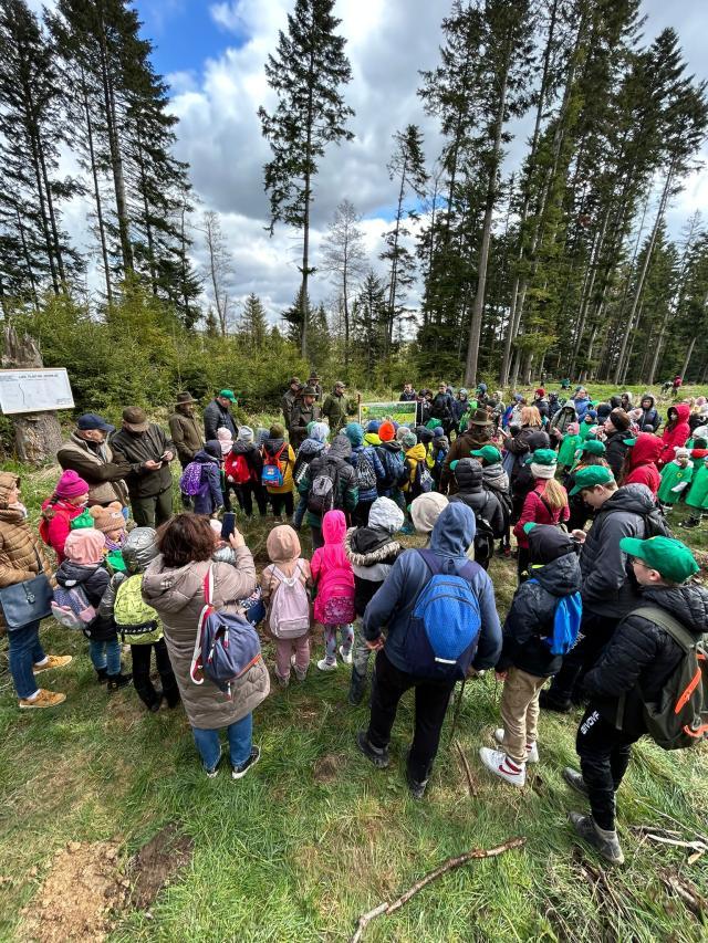 Peste 130.000 de arbori plantați la OS Marginea în campania de împăduriri de primăvară