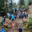 Peste 130.000 de arbori plantați la OS Marginea în campania de împăduriri de primăvară