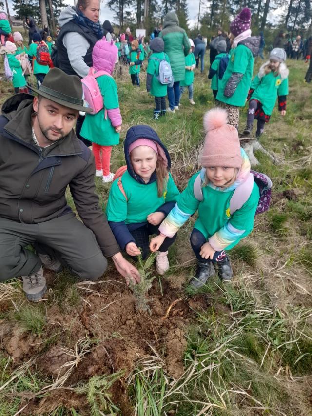 Peste 130.000 de arbori plantați la OS Marginea în campania de împăduriri de primăvară