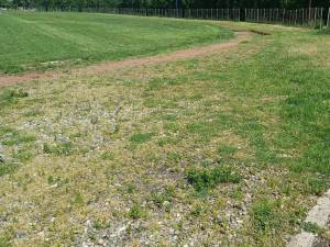 Stadionul ”Nada Florilor” din Fălticeni, o ruină