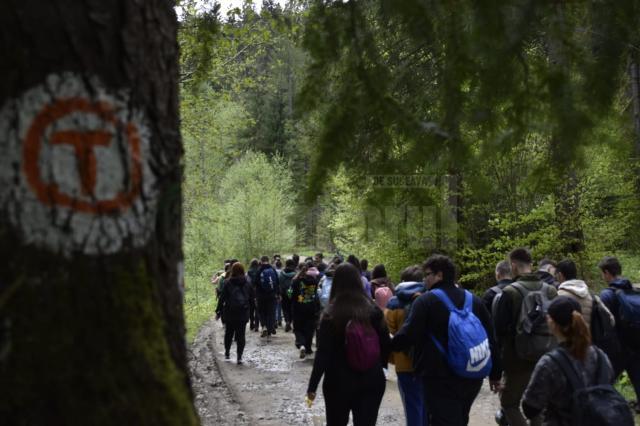 65 de tineri voluntari ATOS, pe Via Transilvanica, între Putna și Sucevița