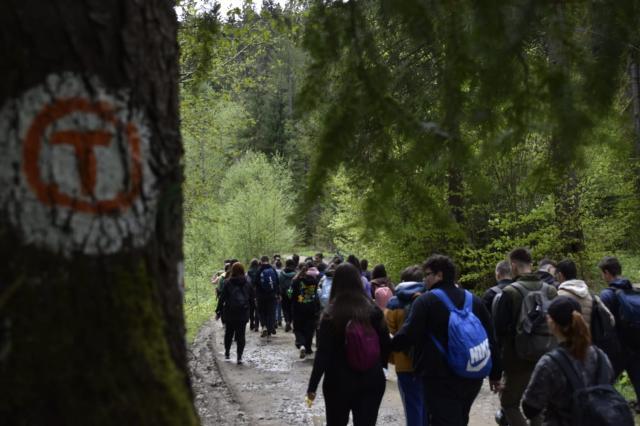 Întrețin traseul. 65 de tineri voluntari ATOS, pe Via Transilvanica, între Putna și Sucevița