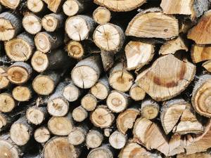 Aproape 2.000 mc de lemn de foc disponibil pentru populație la trei ocoale silvice
