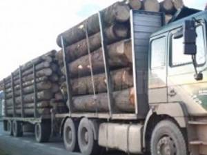 Transport lemn - Fotografie generică