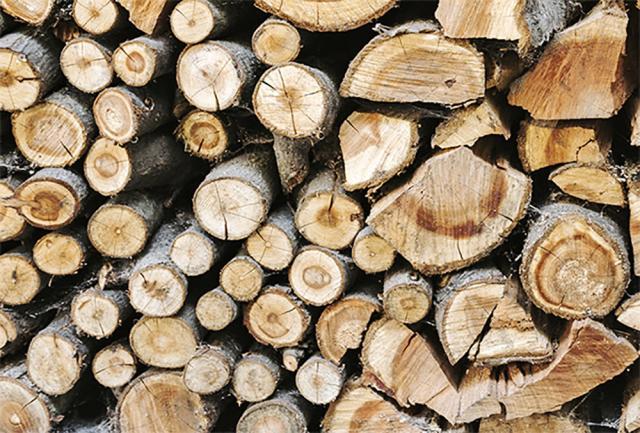 Aproape 2.000 mc de lemn de foc disponibil pentru populație la trei ocoale silvice