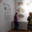 Peste 500 de țesături vechi sunt expuse la Muzeul Arta Lemnului din Câmpulung Moldovenesc
