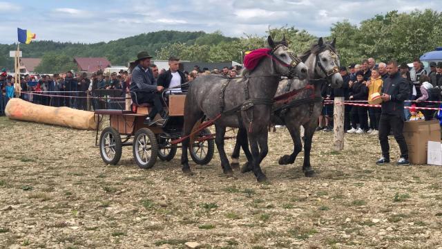 Târgul de cai de la Marginea, cel mai mare din Moldova, la a VII-a ediție