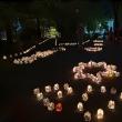 Mii de gulguțe au luminat aleile Parcului Central Suceava la „Festivalul Luminii”, ediția a X-a 2