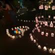 Mii de gulguțe au luminat aleile Parcului Central Suceava la „Festivalul Luminii”, ediția a X-a 9