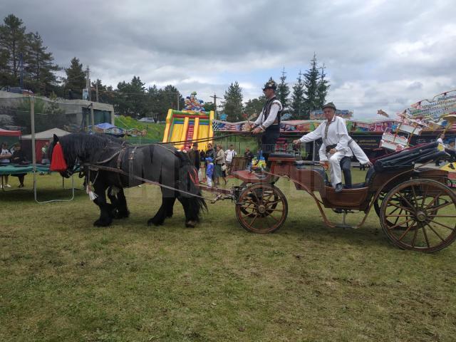 Caleașcă la festivalul Bujorului de Munte de la Șaru Dornei