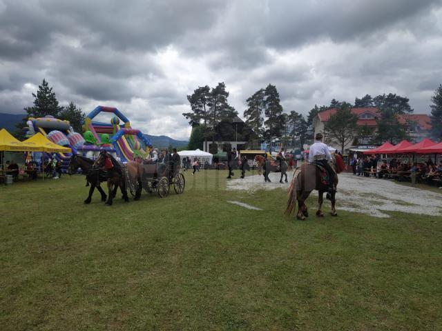 Cai și calești la festival