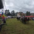 Căruțe la festivalul Bujorului de Munte