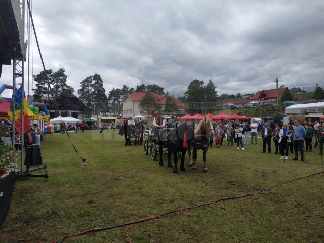 Căruțe la festivalul Bujorului de Munte