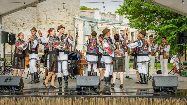 Clubul Copiilor Vatra Dornei, implicat în activităţi educative internaţionale