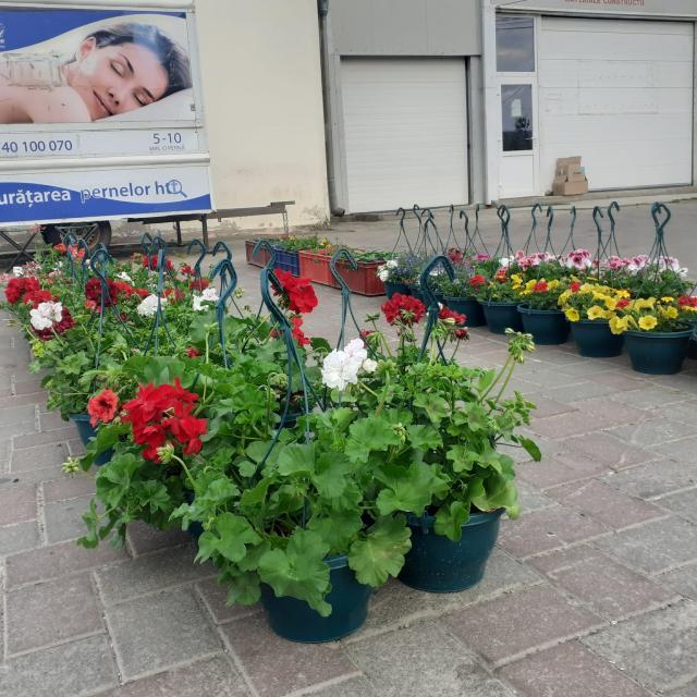 Locul în care erau vândute florile