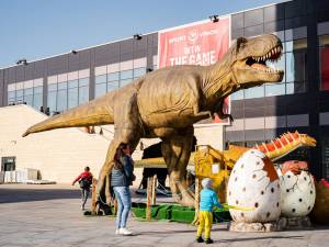 26 de specii preistorice de dinozauri, reproduse în mărime naturală, pot fi vazute și fotografiate la Iulius Mall Suceava (3)