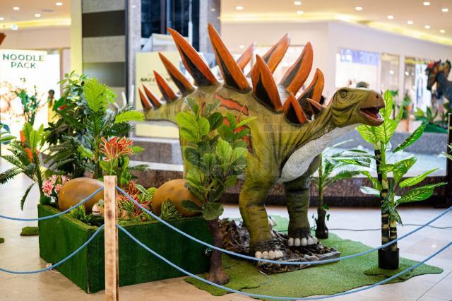 26 de specii preistorice de dinozauri, reproduse în mărime naturală, pot fi văzute și fotografiate la Iulius Mall Suceava (1)