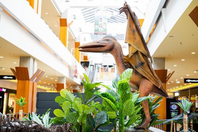 26 de specii preistorice de dinozauri, reproduse în mărime naturală, pot fi văzute și fotografiate la Iulius Mall Suceava (4)