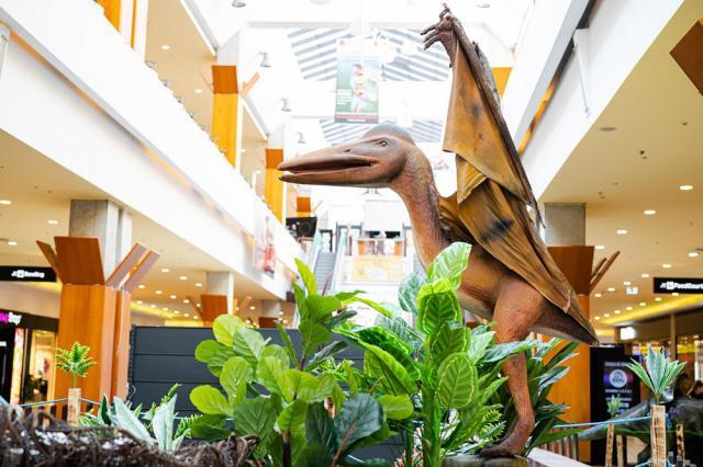 26 de specii preistorice de dinozauri, reproduse în mărime naturală, pot fi văzute şi fotografiate la Iulius Mall Suceava