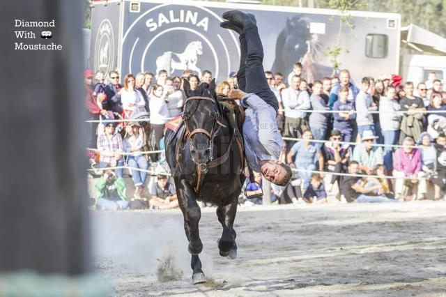 Miron Bococi și caii lui