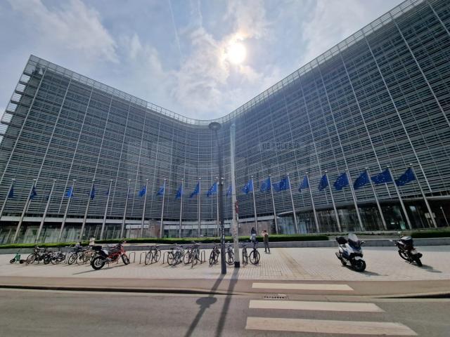 Adunarea Generală a Organizației Europene a Operatorilor Economici din Domeniul Industrializării Lemnului a fost organizată la Bruxelles 1