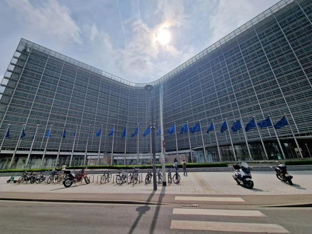 Adunarea Generală a Organizației Europene a Operatorilor Economici din Domeniul Industrializării Lemnului a fost organizată la Bruxelles