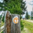 Traseul turistic Via Transilvanica în judeţul Suceava