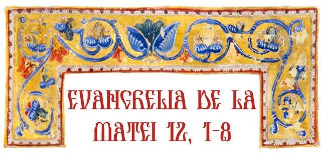 Evangelia de la Matei 12, 1-8