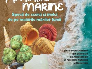 Expoziția „Amintiri marine. Specii de melci și scoici de pe malurile mărilor lumii”, la Muzeul de Științele Naturii