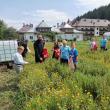 Arimateeamed, pasiune pentru produse naturiste, fitoterapie și remedii pentru un stil de viață sănătos
