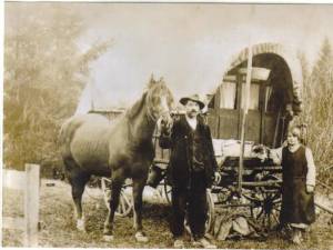 „Ţiganii din Bucovina”