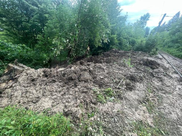 Alunecare de teren în zona Pojorâta- Sadova