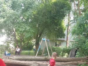 Un copac s-a prăbușit peste un loc de joacă de pe Aleea Saturn din municipiul Suceava