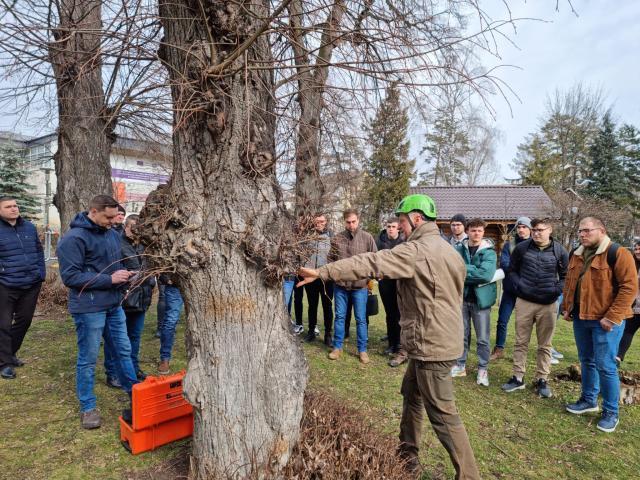 Evaluarea sanatatii arborilor cu ajutorul tomografului pentru copaci