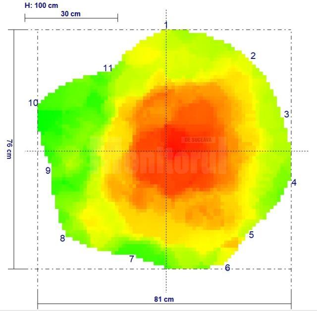 Evaluarea sanatatii arborilor cu ajutorul tomografului pentru copaci