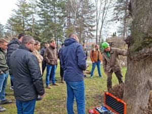 Evaluarea sănătății arborilor cu ajutorul tomografului pentru copaci