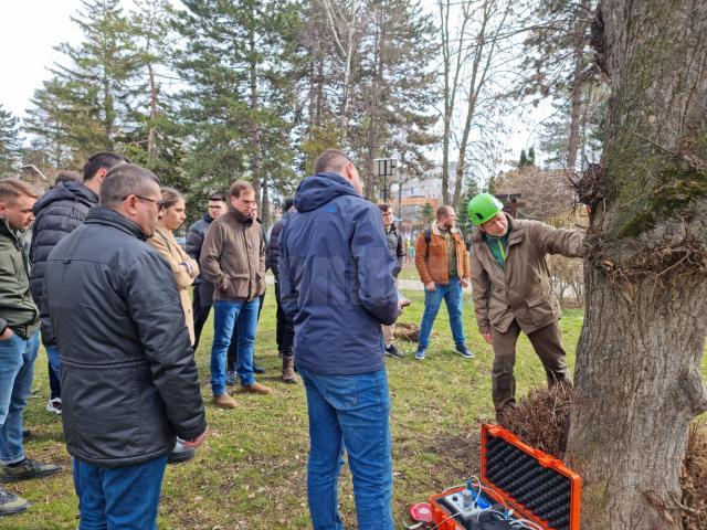 Evaluarea sănătății arborilor cu ajutorul tomografului pentru copaci