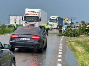 Copaci rupți de vânt